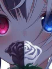 ����Ԫ������